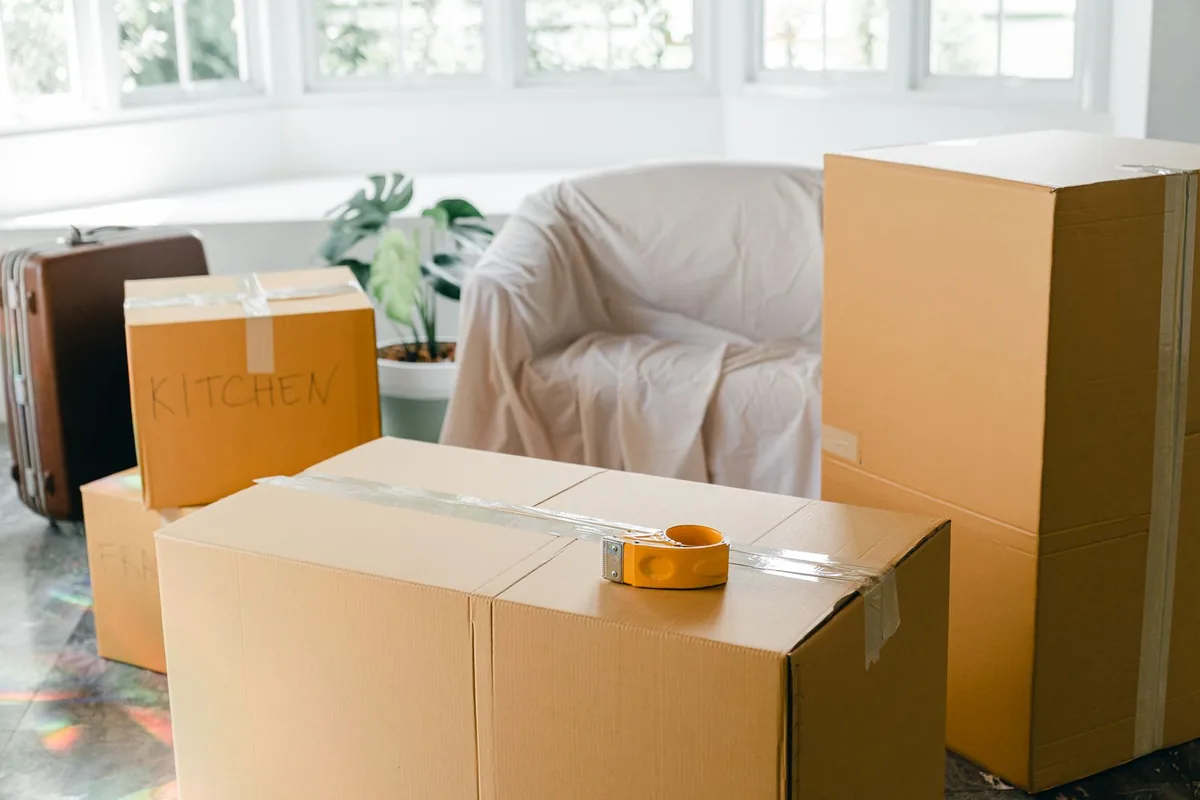 Hoarding Cleanup in Safety Harbor, FL